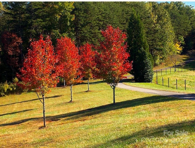 1250 Mountain Creek Rd, Rutherfordton, NC 28139 - view of community