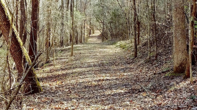 1250 Mountain Creek Rd, Rutherfordton, NC 28139 - photo 43