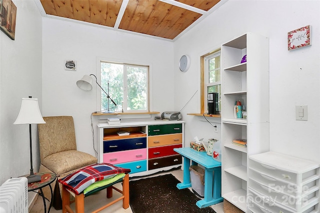 4104 Pebblebrook Cir SW, Concord, NC 28027 - recreation room featuring radiator heating unit, healthy amount of natural light, and wood ceiling