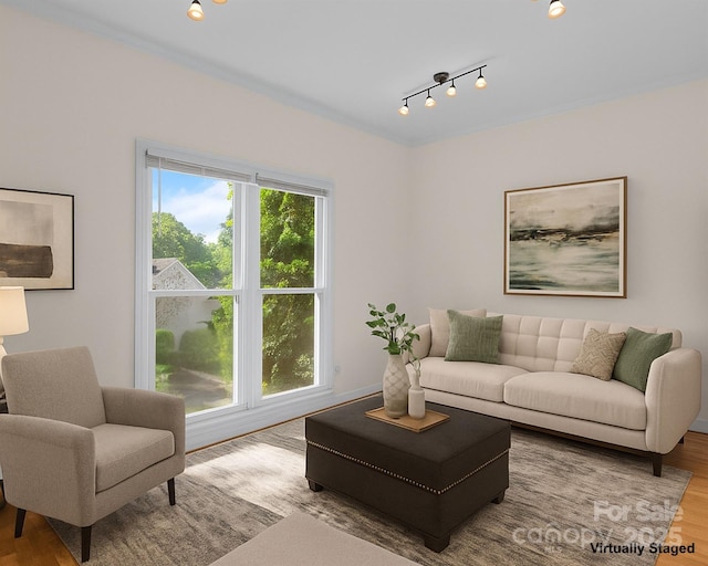 765 Portpatrick Pl, Fort Mill, SC 29708 - living area featuring rail lighting and wood finished floors