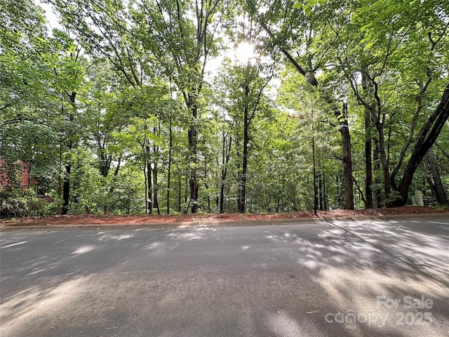 16086 Heron Run Dr, Fort Mill, SC 29708 - photo 3
