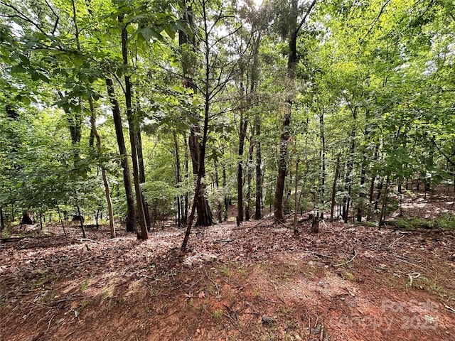 16086 Heron Run Dr, Fort Mill, SC 29708 - photo 4