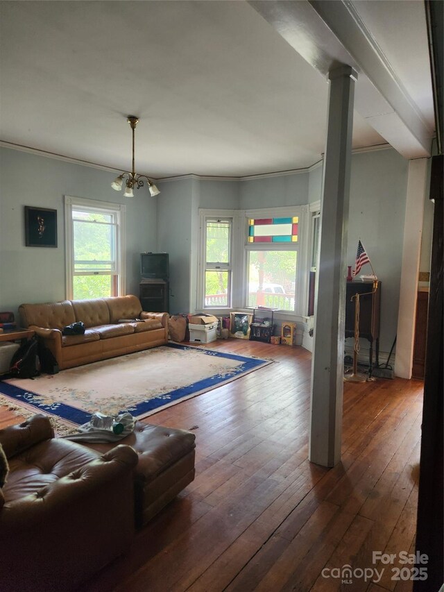 425 W Horah St, Salisbury, NC 28144 - living area featuring ornamental molding, a chandelier, and hardwood / wood-style flooring