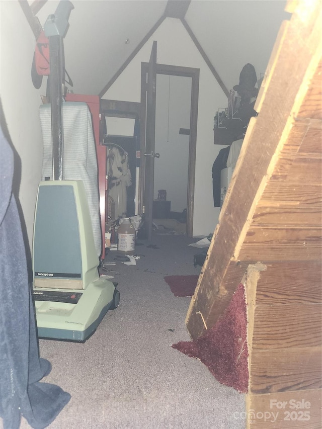 425 W Horah St, Salisbury, NC 28144 - basement featuring carpet floors