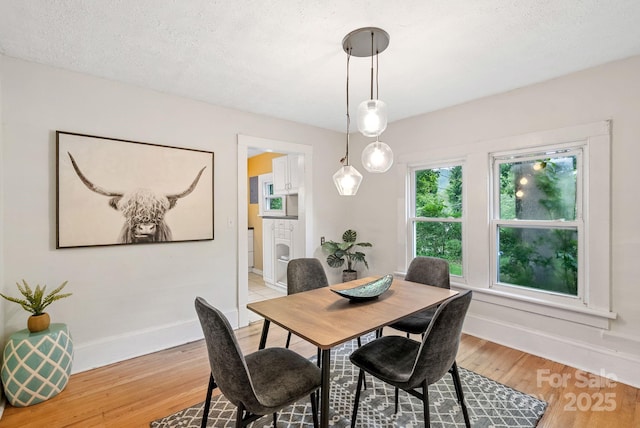113 4th St, Black Mountain, NC 28711 - dining area with light wood-style floors and baseboards