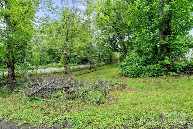 113 4th St Unit 8, Black Mountain, NC 28711