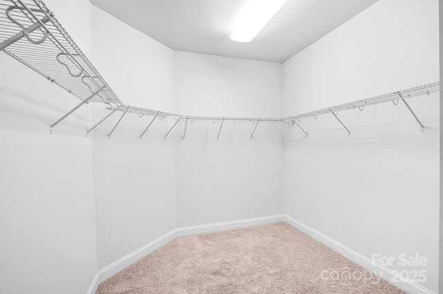 867 Pecan Tree Ln, Fort Mill, SC 29715 - photo 24