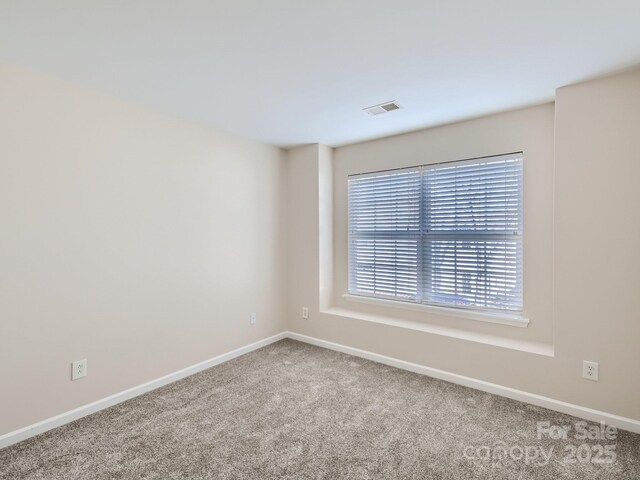 463 Delta Dr, Fort Mill, SC 29715 - photo 21