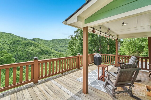 410 Moonlight Trl, Bryson City, NC 28713 - photo 10