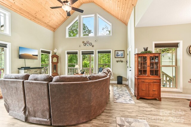 410 Moonlight Trl, Bryson City, NC 28713 - photo 13