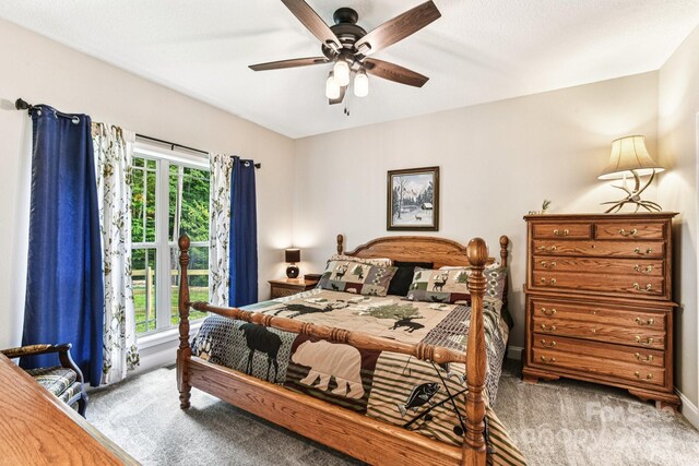 410 Moonlight Trl, Bryson City, NC 28713 - photo 16