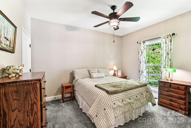 410 Moonlight Trl, Bryson City, NC 28713 - photo 20