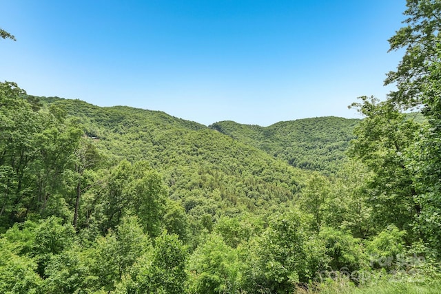 410 Moonlight Trl, Bryson City, NC 28713 - photo 24