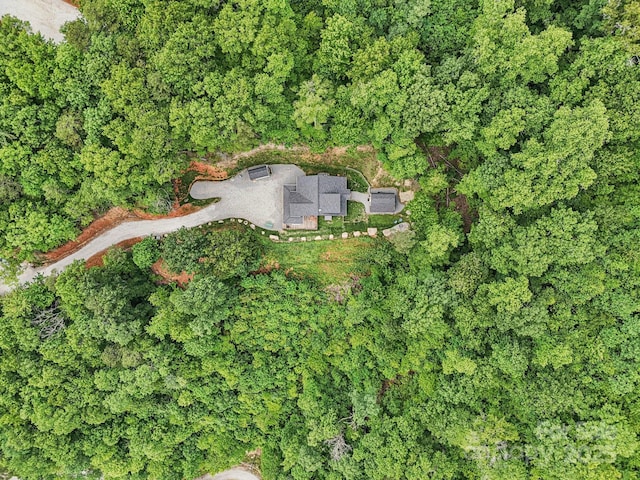 410 Moonlight Trl, Bryson City, NC 28713 - photo 25