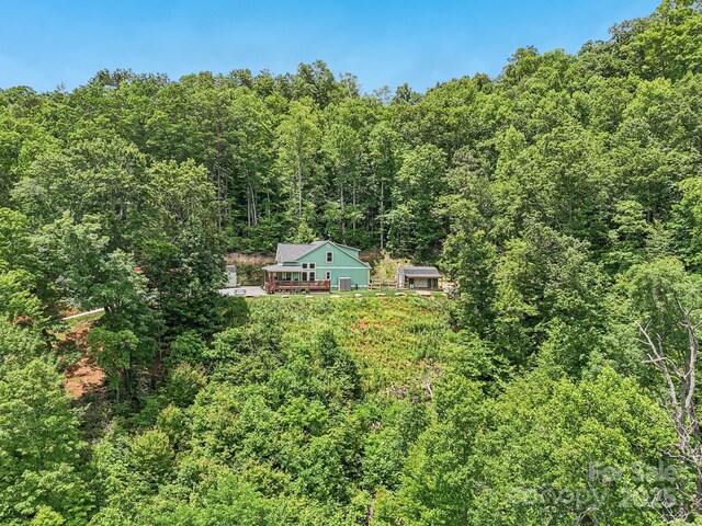 410 Moonlight Trl, Bryson City, NC 28713 - photo 26