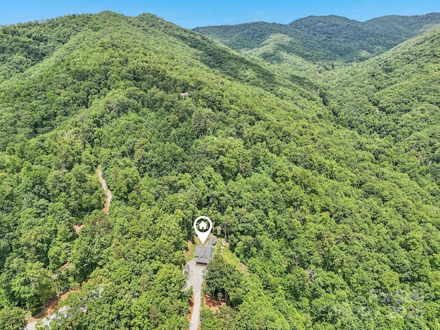 410 Moonlight Trl, Bryson City, NC 28713 - photo 28