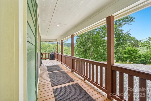 410 Moonlight Trl, Bryson City, NC 28713 - photo 38