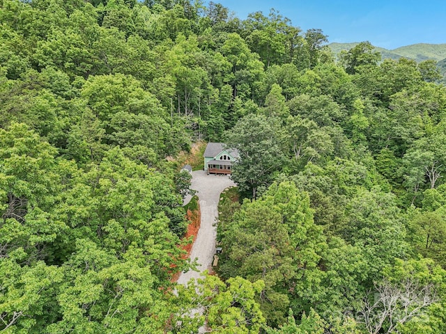 410 Moonlight Trl, Bryson City, NC 28713 - photo 41