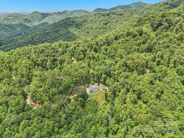 410 Moonlight Trl, Bryson City, NC 28713 - photo 42