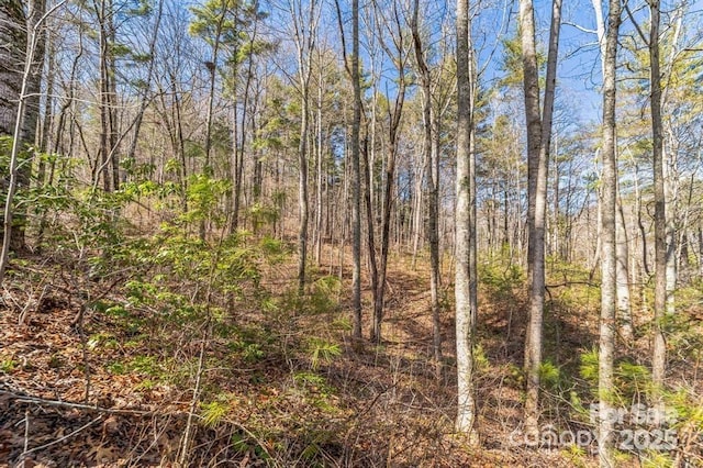 99999 Parker Rd Unit 3, Asheville, NC 28805 - photo 3