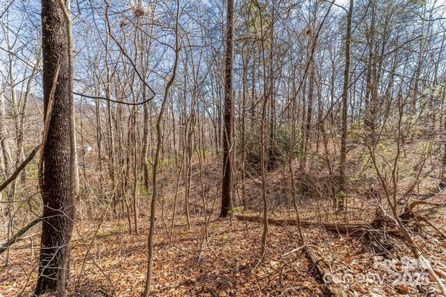 99999 Parker Rd Unit 3, Asheville, NC 28805 - photo 4