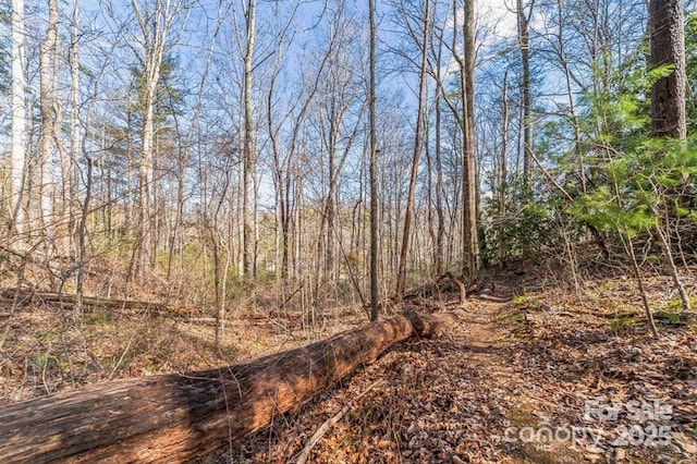 99999 Parker Rd Unit 3, Asheville, NC 28805 - photo 5