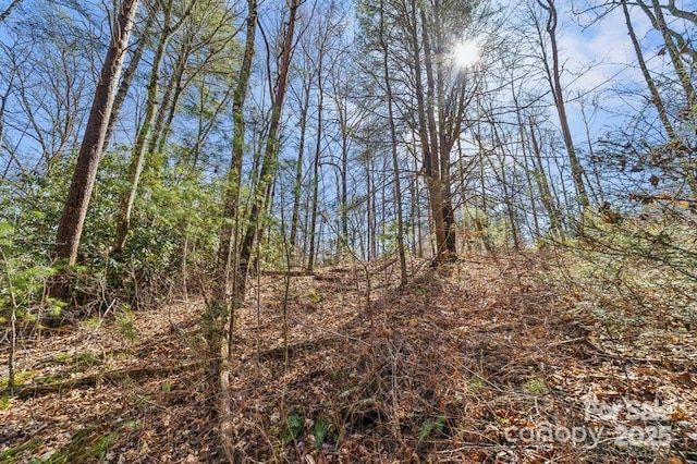 99999 Parker Rd Unit 3, Asheville, NC 28805 - photo 6