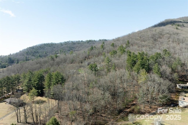 99999 Parker Rd Unit 3, Asheville, NC 28805 - photo 7