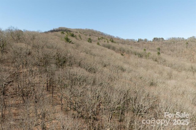 99999 Parker Rd Unit 3, Asheville, NC 28805 - photo 10