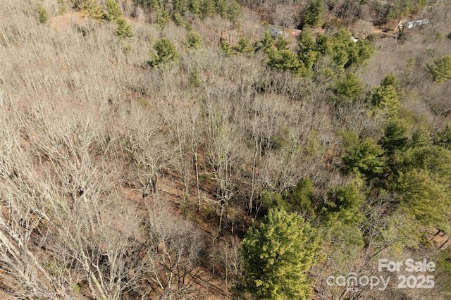99999 Parker Rd Unit 3, Asheville, NC 28805 - photo 13