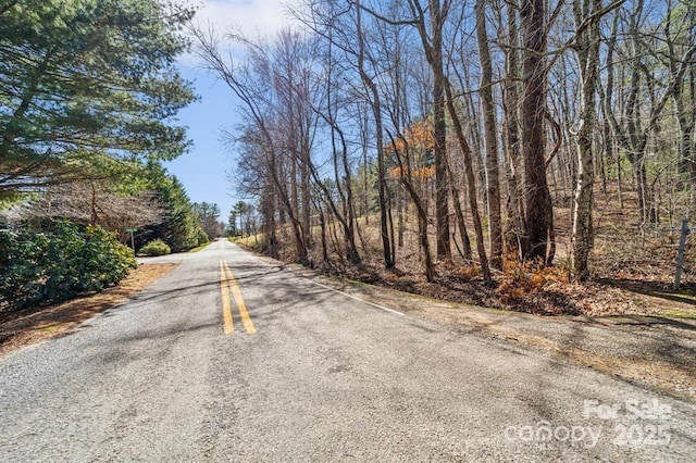 99999 Parker Rd Unit 3, Asheville, NC 28805 - photo 15