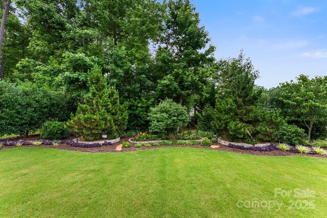 708 Ardent Trl, Belmont, NC 28012 - view of grassy yard