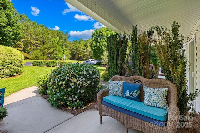49009 Dockside Ln Unit D, Albemarle, NC 28001 - view of patio