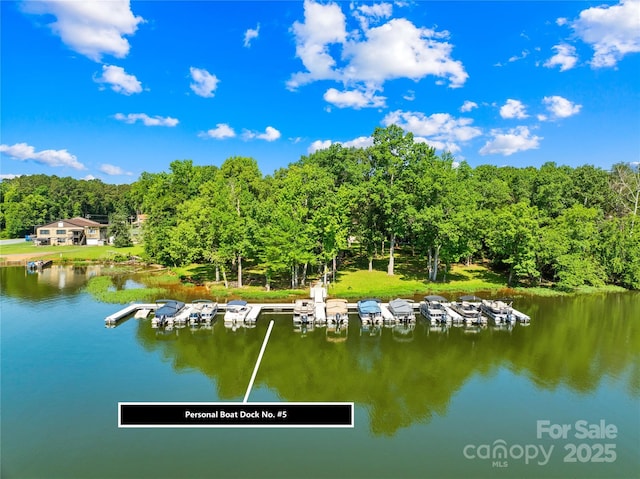 49009 Dockside Ln Unit D, Albemarle, NC 28001 - water view with a dock