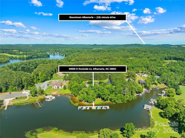 49009 Dockside Ln Unit D, Albemarle, NC 28001 - drone / aerial view of a forest