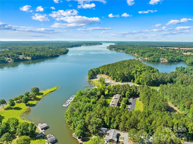 49009 Dockside Ln Unit D, Albemarle, NC 28001 - bird's eye view of a forest and a nearby body of water