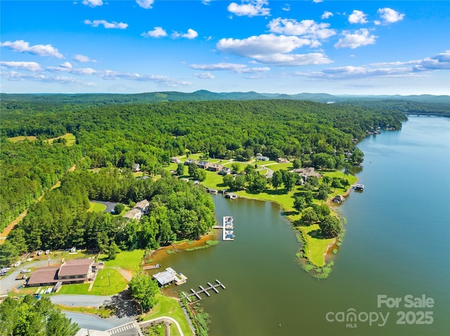 49009 Dockside Ln Unit D, Albemarle, NC 28001 - aerial view of a heavily wooded area and a water and mountain view