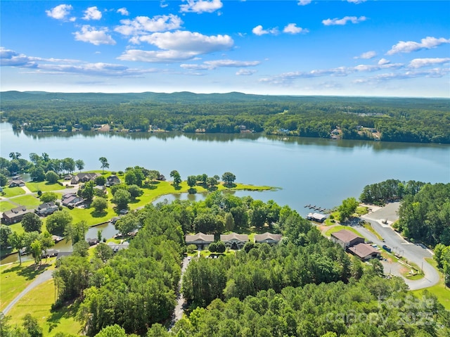49009 Dockside Ln Unit D, Albemarle, NC 28001 - aerial perspective of suburban area with a heavily wooded area and a nearby body of water