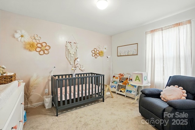 133 Aspire Cir, Wingate, NC 28174 - bedroom with carpet floors and a nursery area