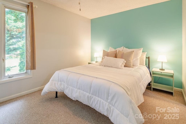 118 Colony Dr, Arden, NC 28704 - bedroom with light carpet and multiple windows