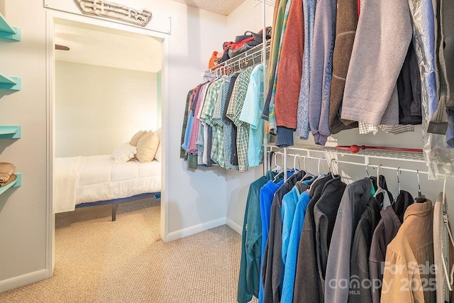 118 Colony Dr, Arden, NC 28704 - walk in closet with carpet