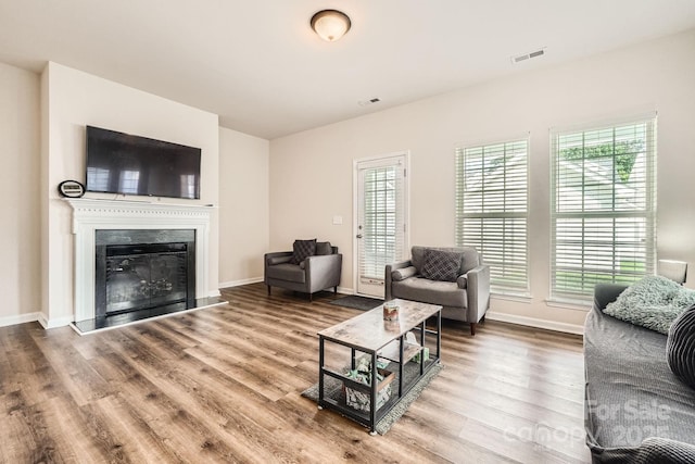 13820 Cypress Woods Dr, Huntersville, NC 28078 - living area with wood finished floors, baseboards, and a glass covered fireplace