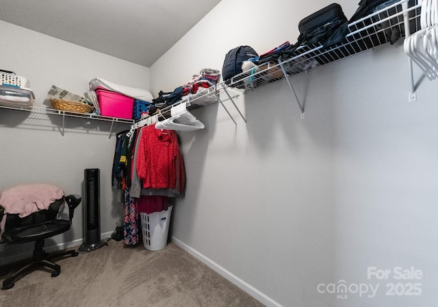 204 Fesperman Cir, Troutman, NC 28166 - spacious closet with carpet flooring