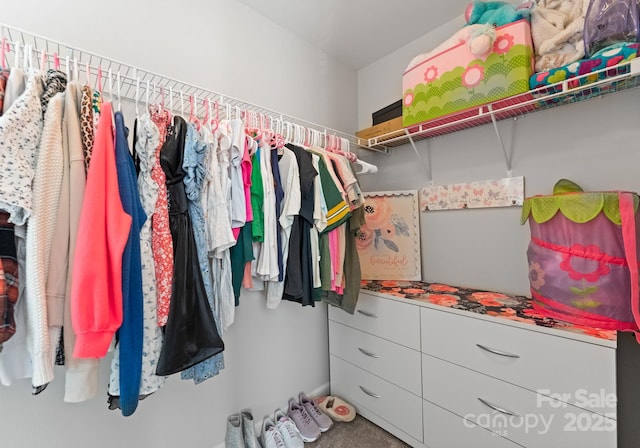 204 Fesperman Cir, Troutman, NC 28166 - view of spacious closet