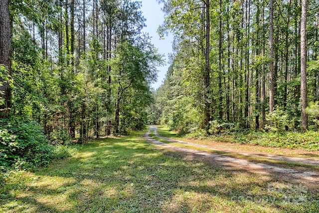 6268 Hope Rd, Winnsboro, SC 29180 - photo 48