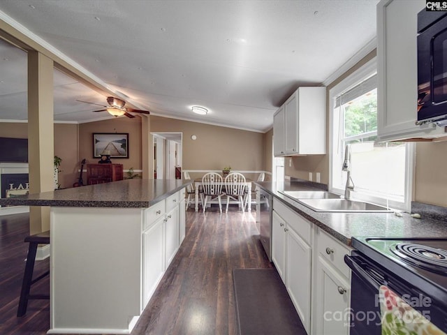 1989 White Oak Rd, Camden, SC 29020 - kitchen with dishwasher, a sink, black microwave, dark wood-type flooring, and lofted ceiling
