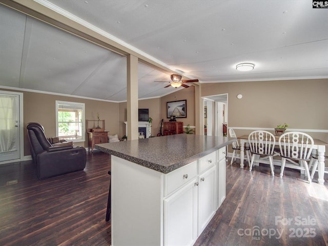 1989 White Oak Rd, Camden, SC 29020 - kitchen with open floor plan, dark countertops, dark wood-type flooring, lofted ceiling, and ornamental molding