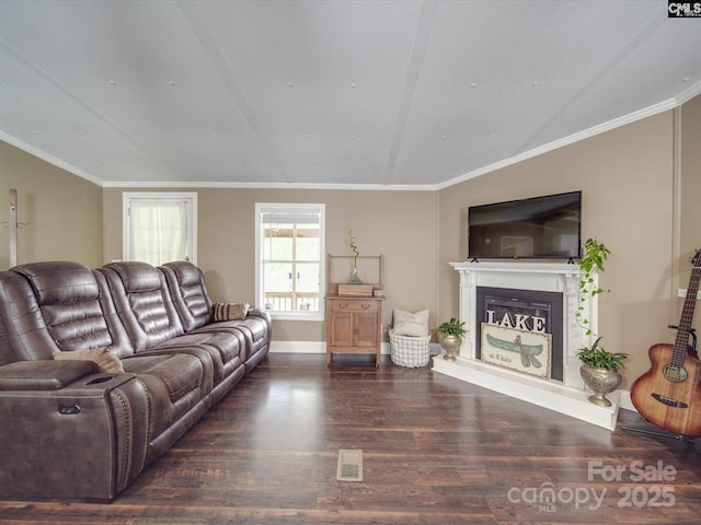 1989 White Oak Rd, Camden, SC 29020 - living area featuring wood finished floors, lofted ceiling, a fireplace with raised hearth, baseboards, and crown molding