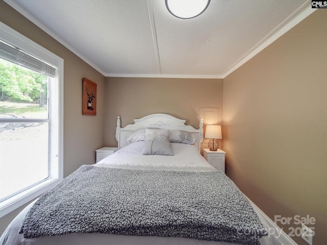 1989 White Oak Rd, Camden, SC 29020 - bedroom with crown molding