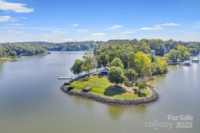2004 Marquesas Ave, Tega Cay, SC 29708 - drone / aerial view of a large body of water and a heavily wooded area